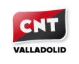 logo cnt